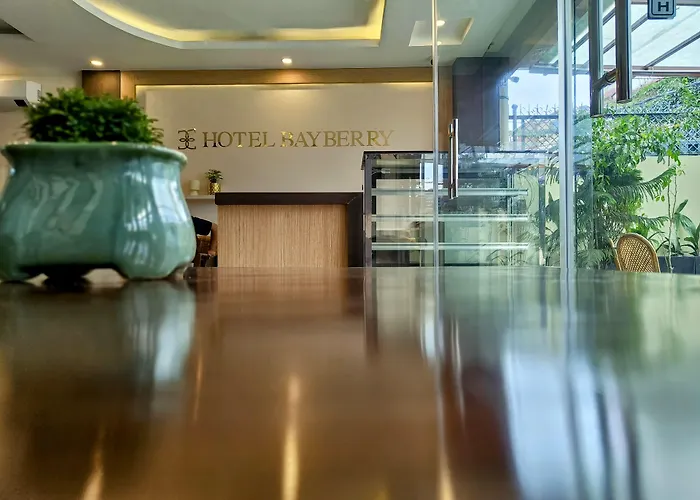 Bayberry - Near Tribhuvan International Airport 4*